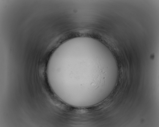 X0000093510698200710121103