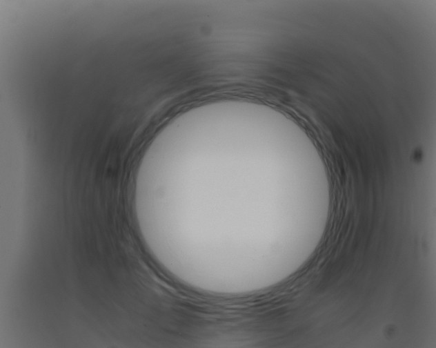 X0000093510701200710121103
