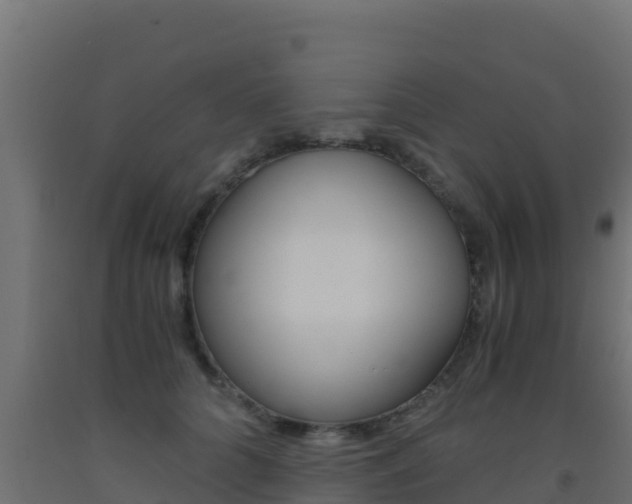 X0000093510704200710121103