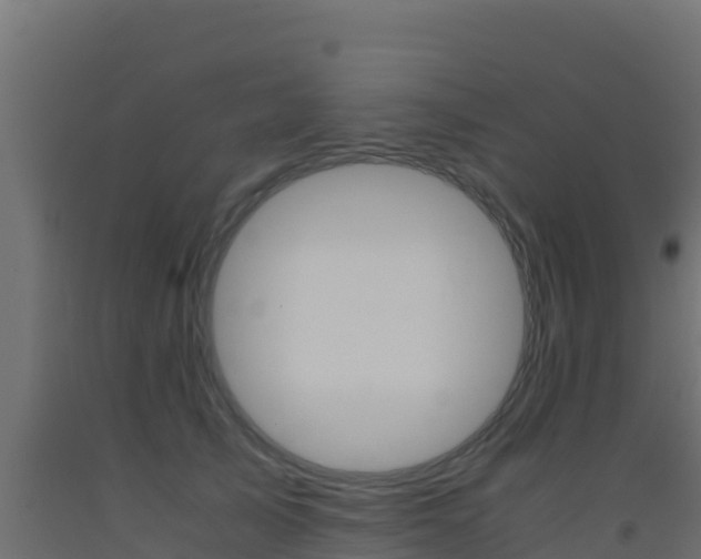 X0000093510705200710121103