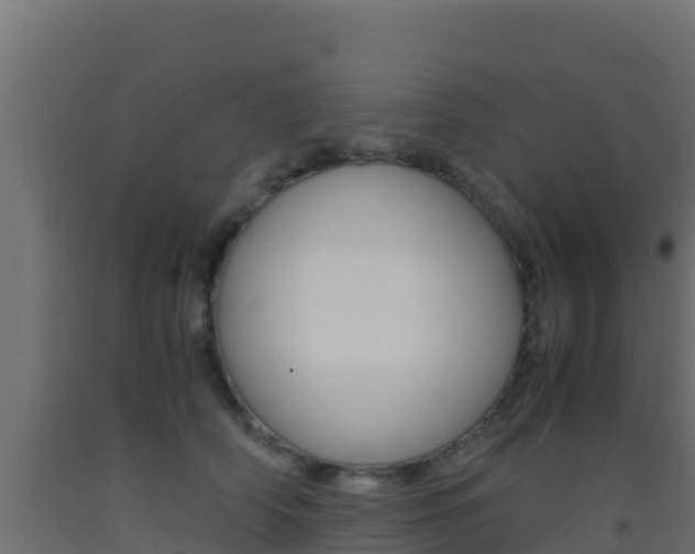 X0000093510706200710121103