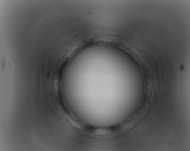 X0000093510708200710121103