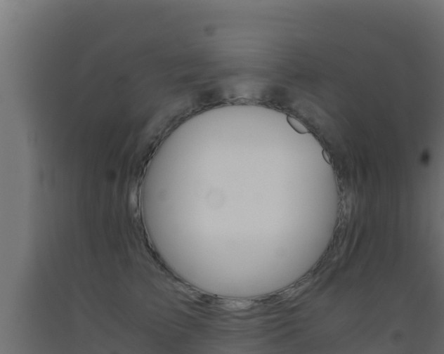 X0000093510709200710121103