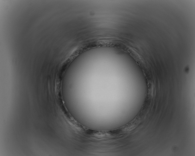 X0000093510712200710121103