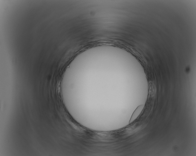 X0000093510713200710121103