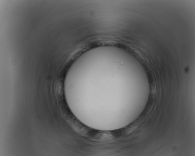 X0000093510715200710121103
