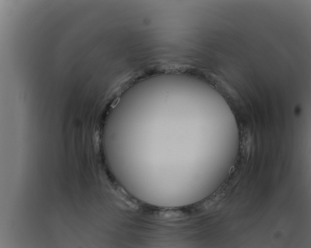 X0000093510716200710121103