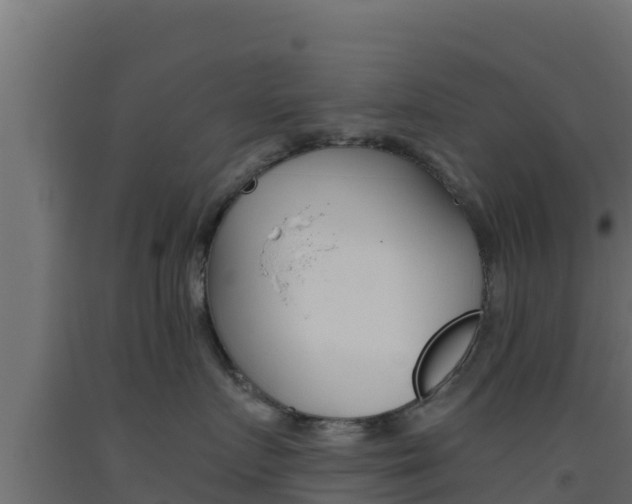 X0000093510719200710121103