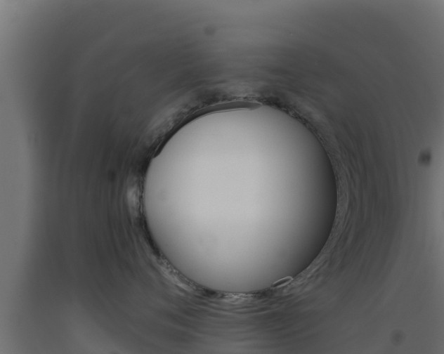 X0000093510720200710121103
