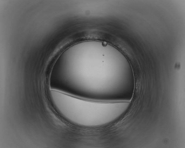 X0000093510722200710121102