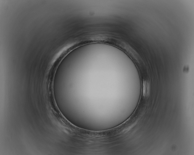 X0000093510723200710121102