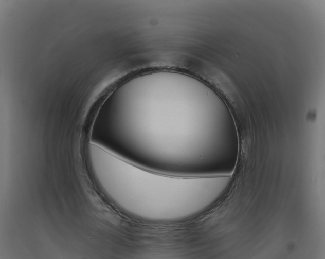 X0000093510724200710121102