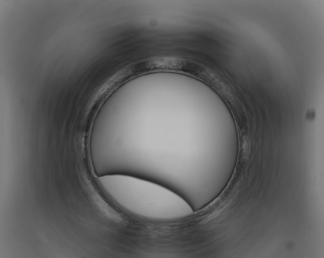 X0000093510725200710121102