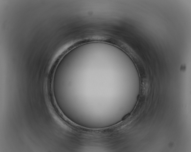 X0000093510726200710121102