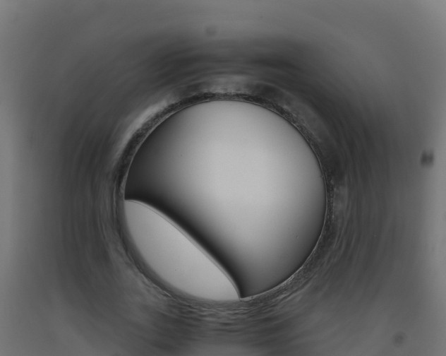 X0000093510727200710121102