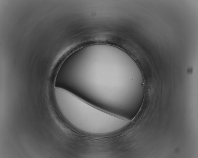 X0000093510728200710121102
