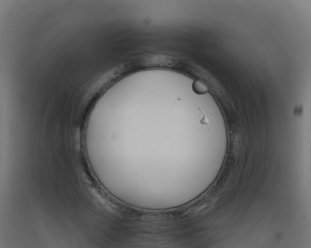X0000093510729200710121102