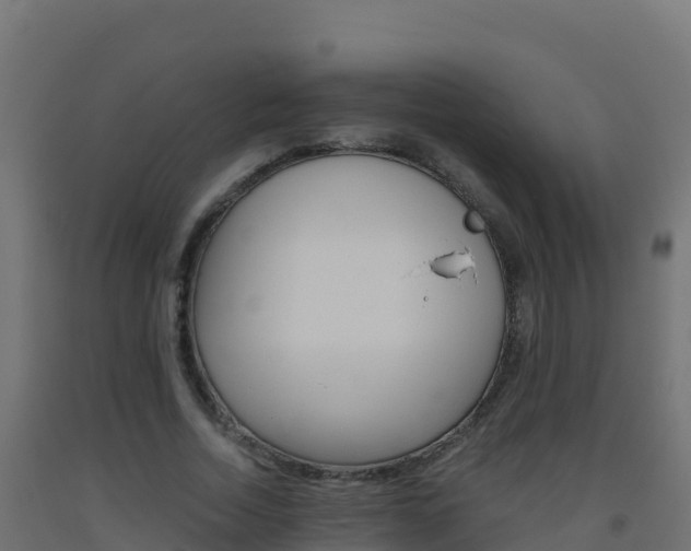X0000093510730200710121102