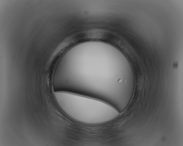 X0000093510731200710121102
