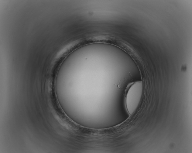 X0000093510732200710121102