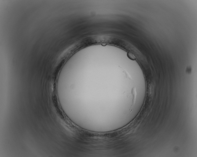 X0000093510733200710121102