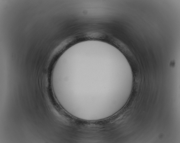 X0000093510734200710121102