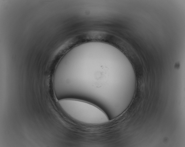 X0000093510735200710121102