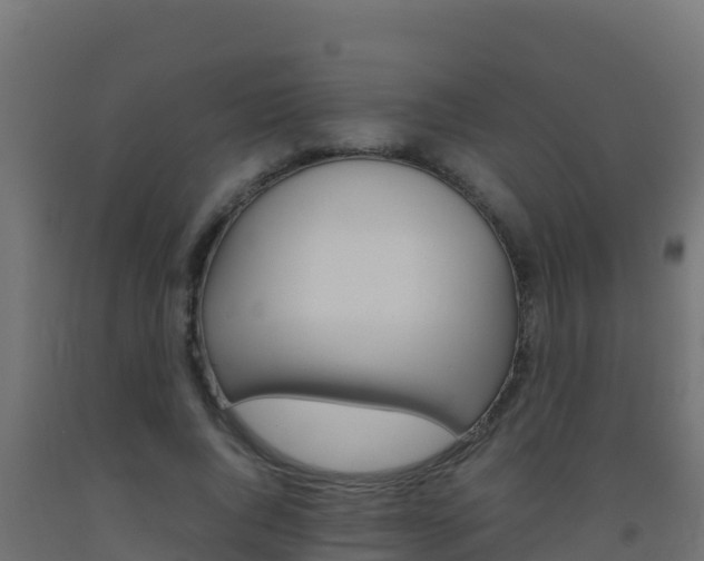 X0000093510736200710121102