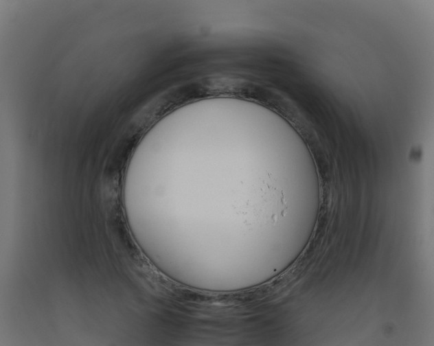 X0000093510737200710121102