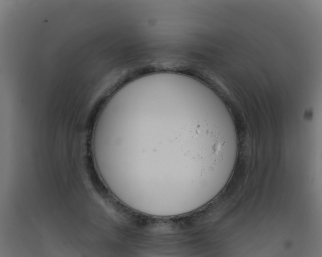 X0000093510738200710121102