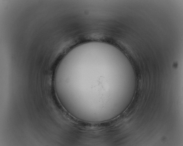 X0000093510739200710121102