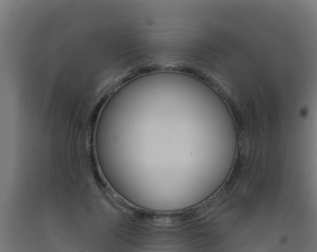 X0000093510740200710121102
