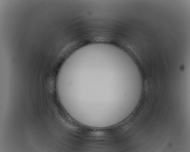X0000093510741200710121102