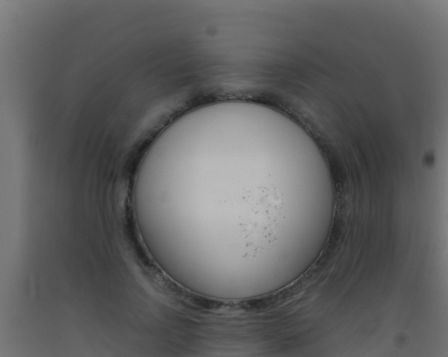 X0000093510742200710121102