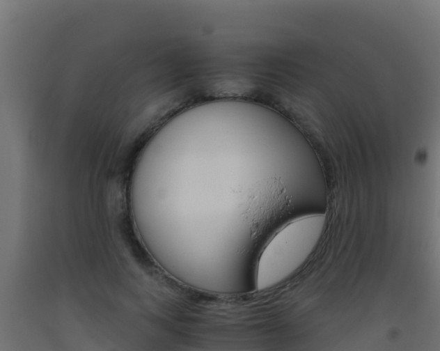 X0000093510743200710121102