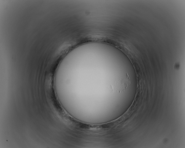 X0000093510744200710121102