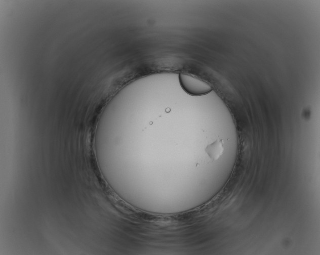 X0000093510745200710121102