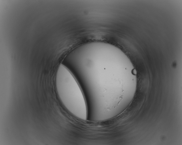 X0000093510747200710121102