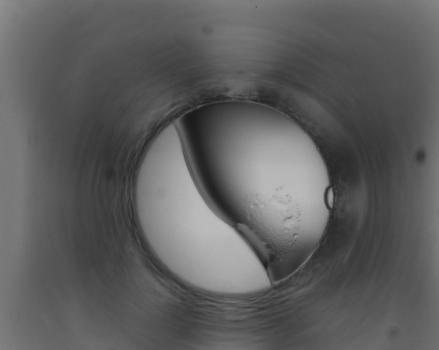 X0000093510748200710121103