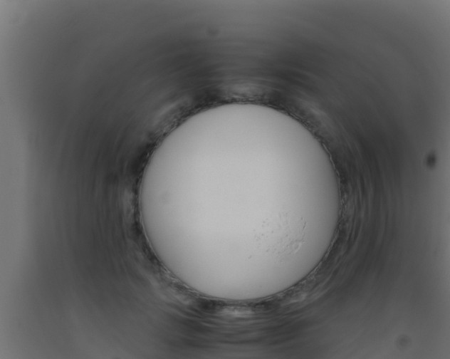 X0000093510749200710121103
