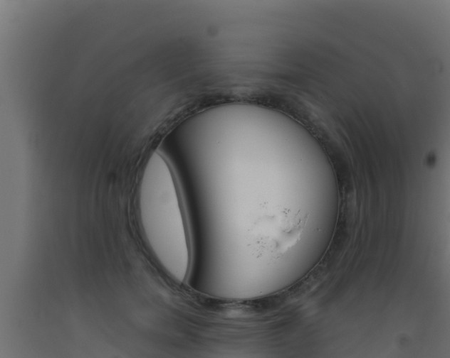 X0000093510750200710121103