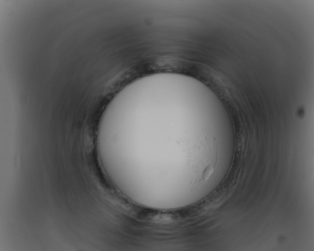 X0000093510751200710121103