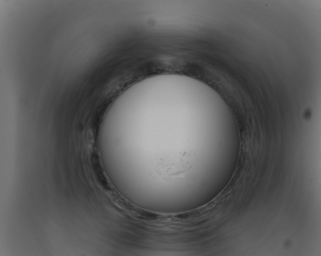 X0000093510752200710121103