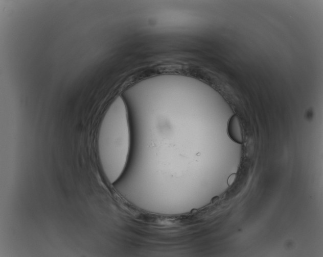 X0000093510753200710121103