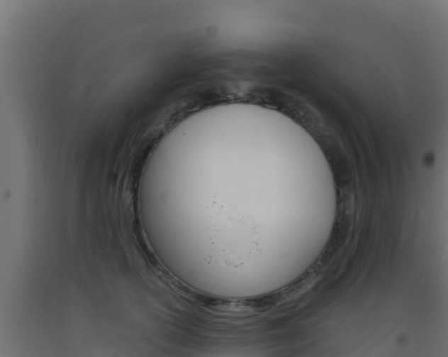 X0000093510754200710121103