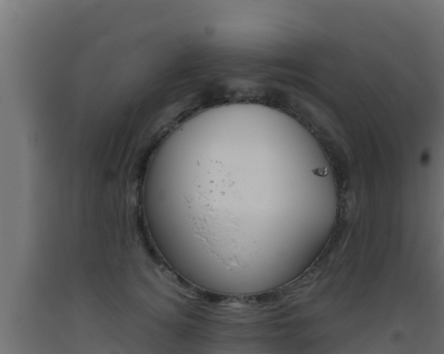 X0000093510756200710121103