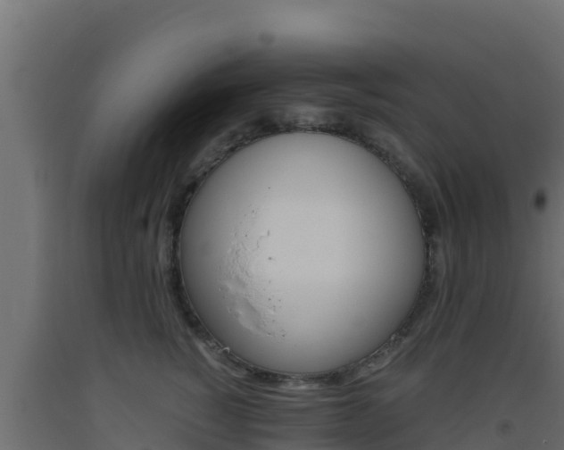 X0000093510760200710121103