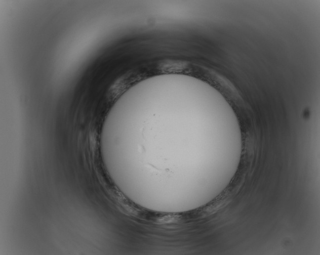 X0000093510761200710121103