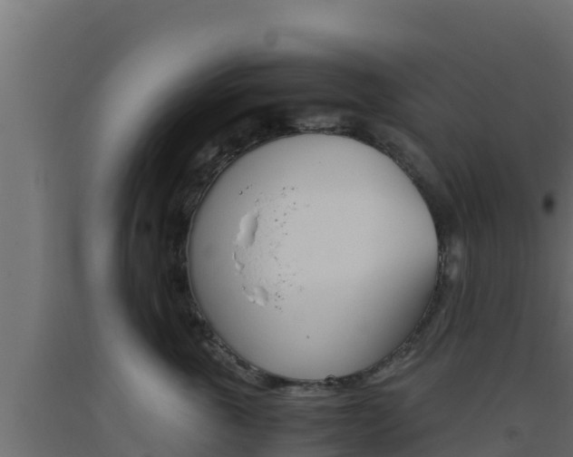 X0000093510763200710121103