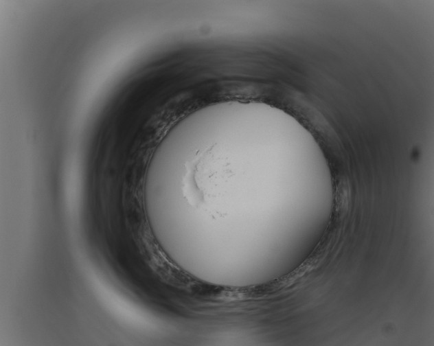 X0000093510764200710121103